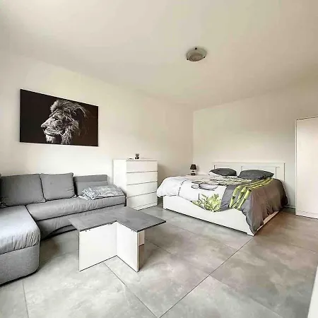 Super Near Basel Bale Private Parking Saint-Louis (Haut-Rhin)