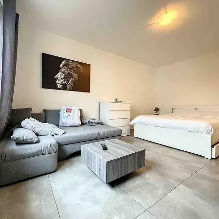 Super Near Basel Bale Private Parking Apartamento *