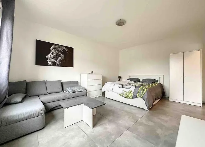 Super Near Basel Bale Private Parking Saint-Louis (Haut-Rhin)