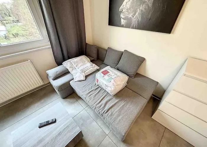Super Near Basel Bale Private Parking Apartamento *
