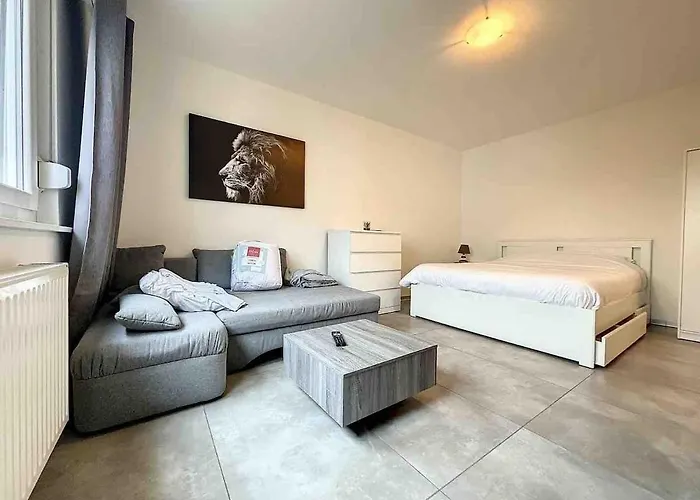 Super Near Basel Bale Private Parking Apartamento *