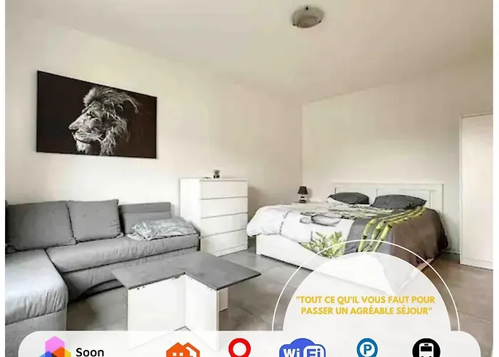 Super Near Basel Bale Private Parking