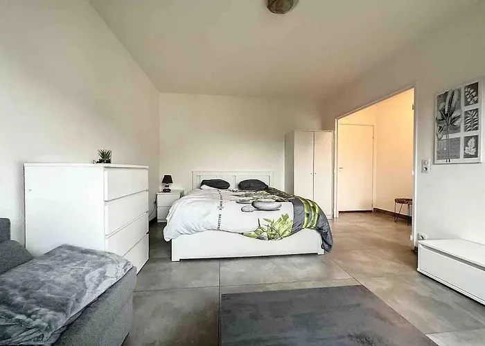 Super Near Basel Bale Private Parking Apartamento